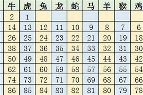 2023年49歲屬什麼|2023年十二生肖号码表完整版 属相岁数年龄查询对照表